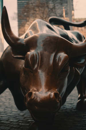 New York Stock Market Bull